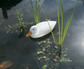 White Duck Figure décorative 43 cm Ubbink